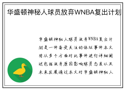 华盛顿神秘人球员放弃WNBA复出计划